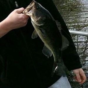 Meet your Posher, Maximilian